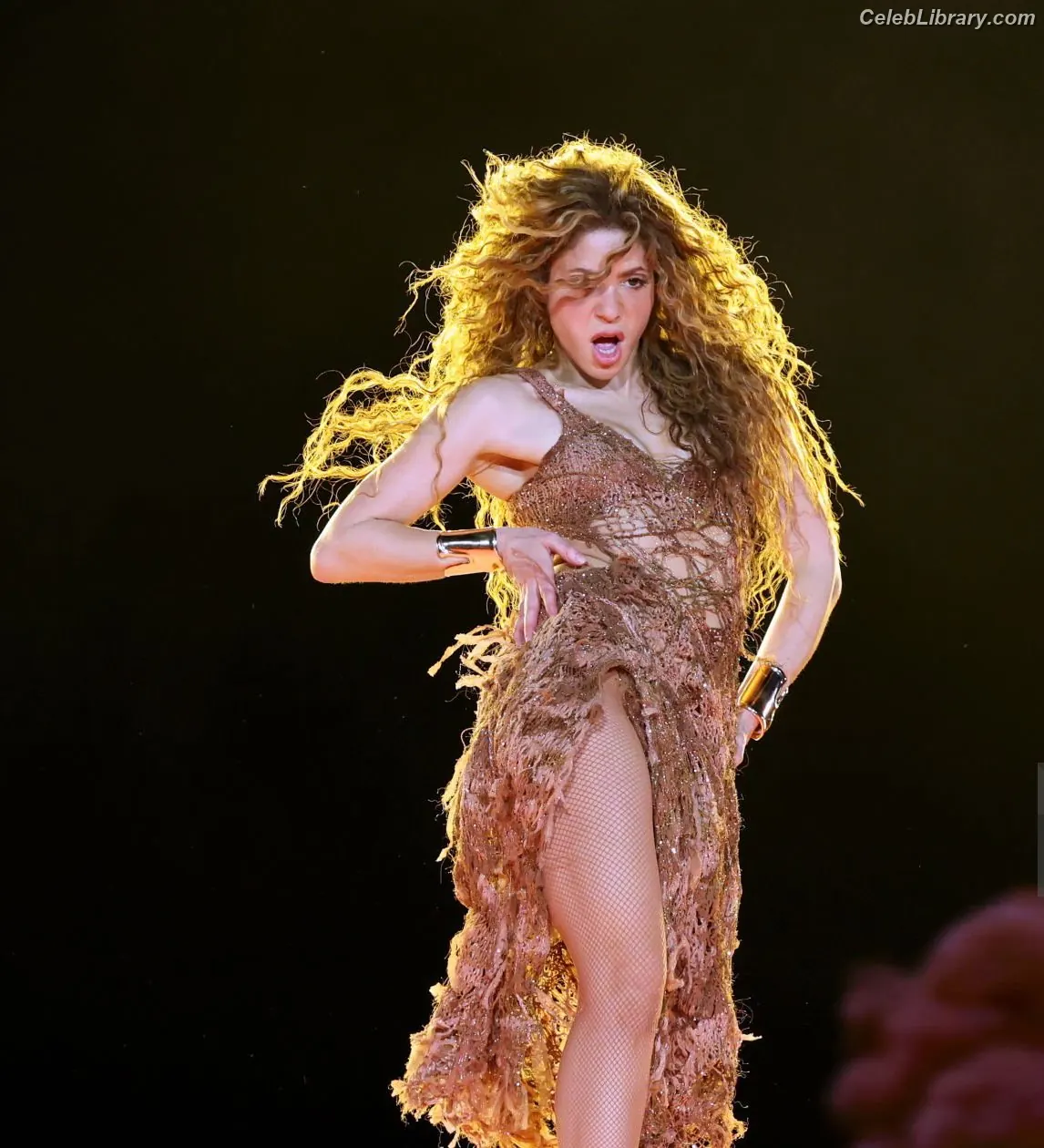 Shakira photo 1 of 1546