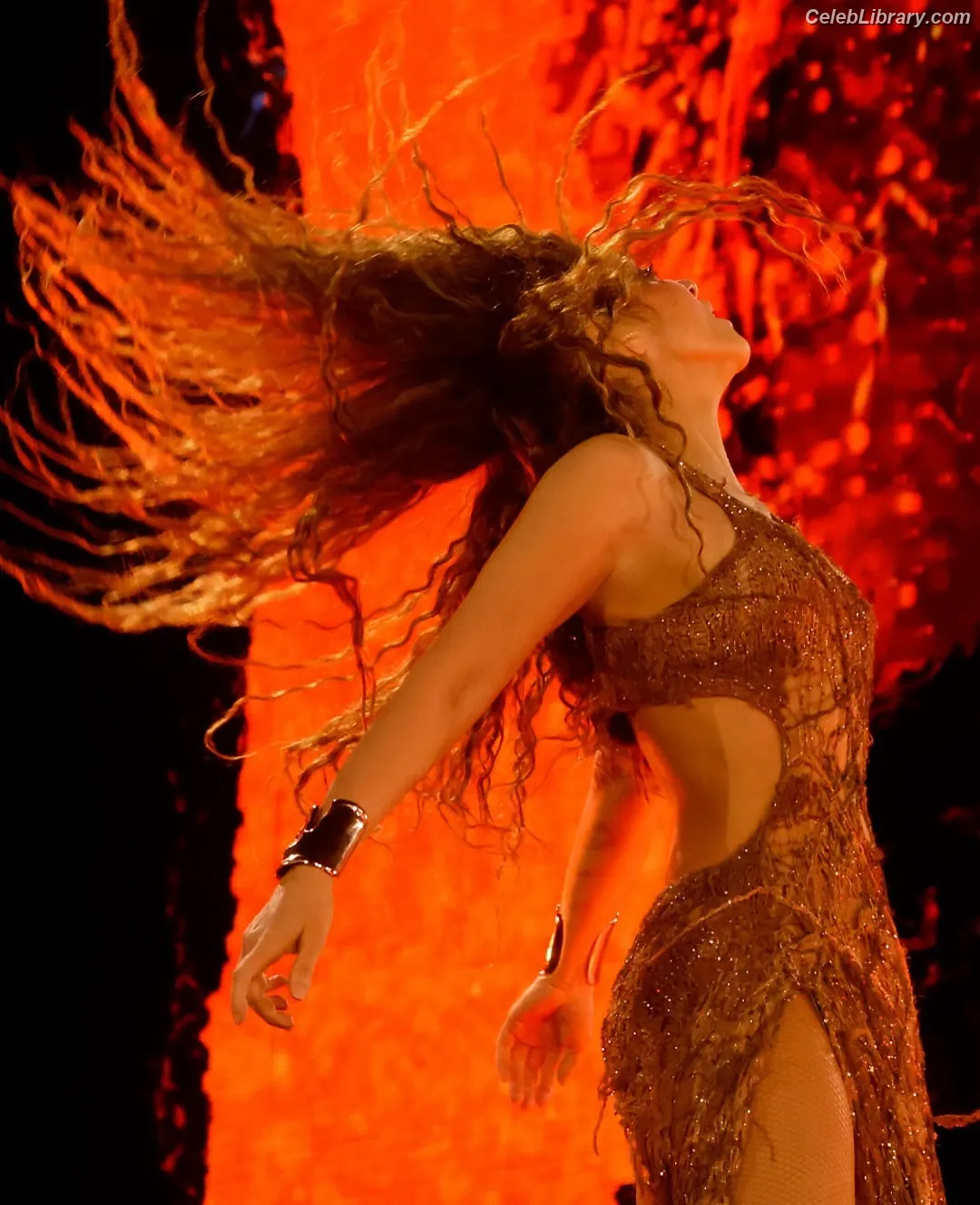 Shakira photo 12 of 1546