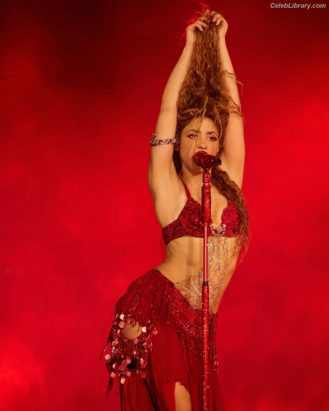 Shakira photo 19 of 1546