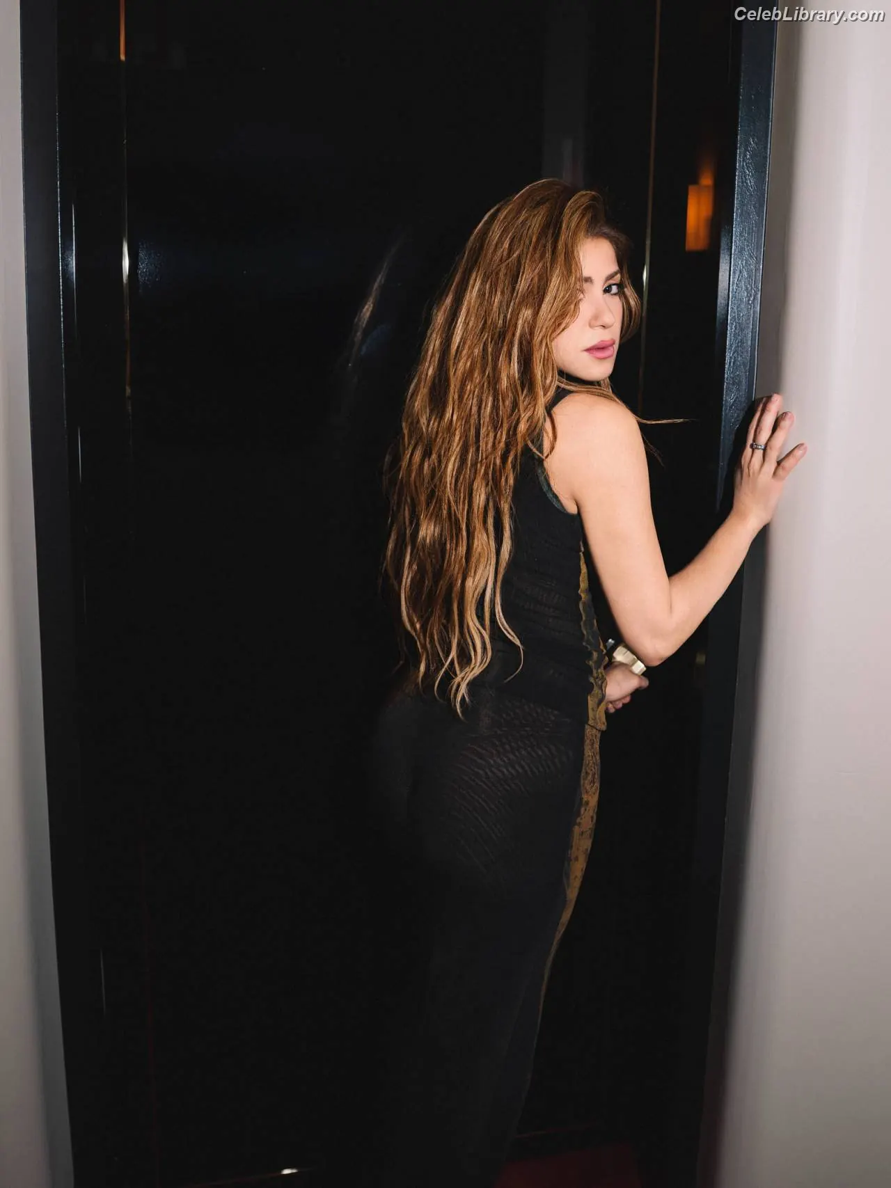 Shakira photo 5 of 1546