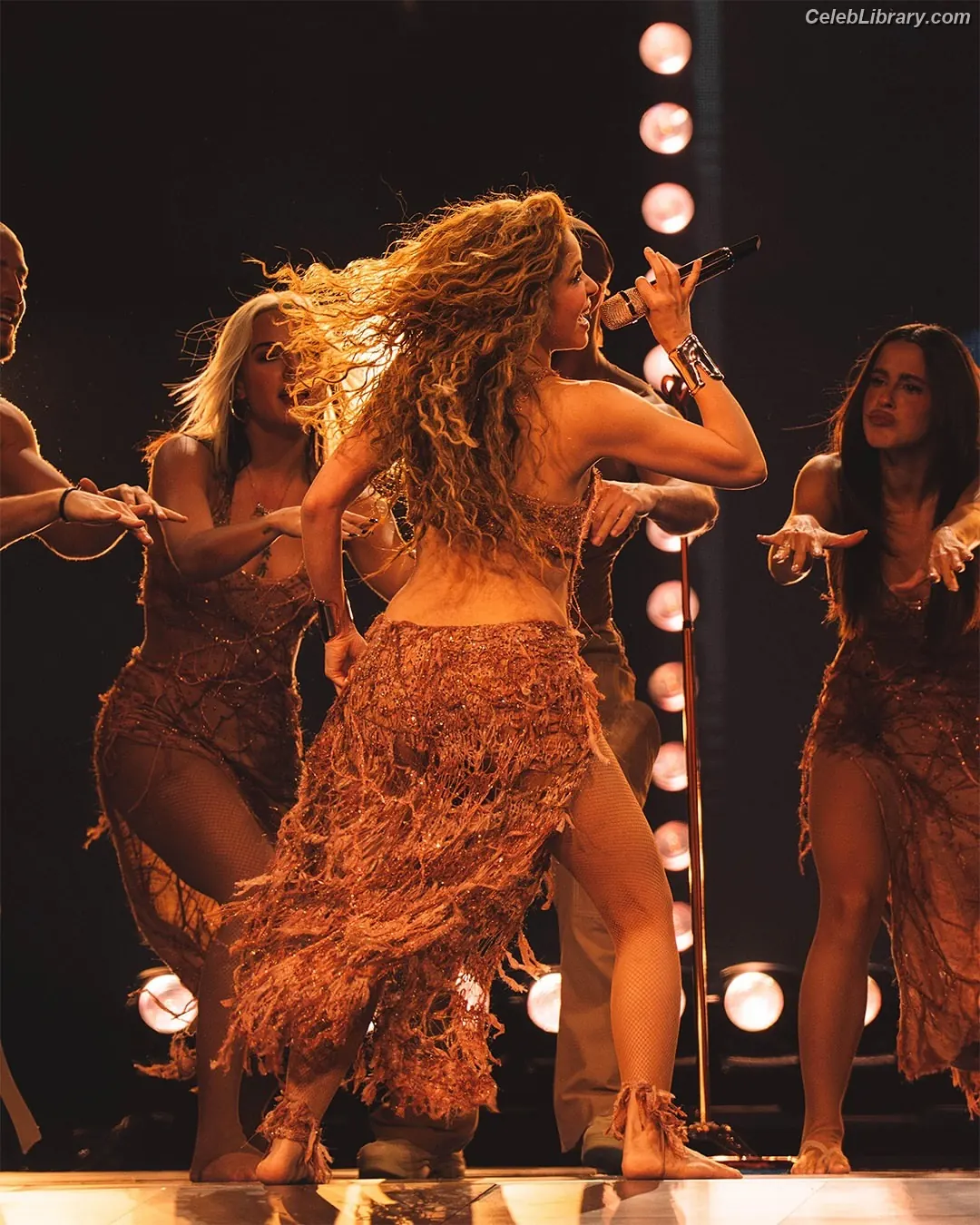 Shakira photo 21 of 1546