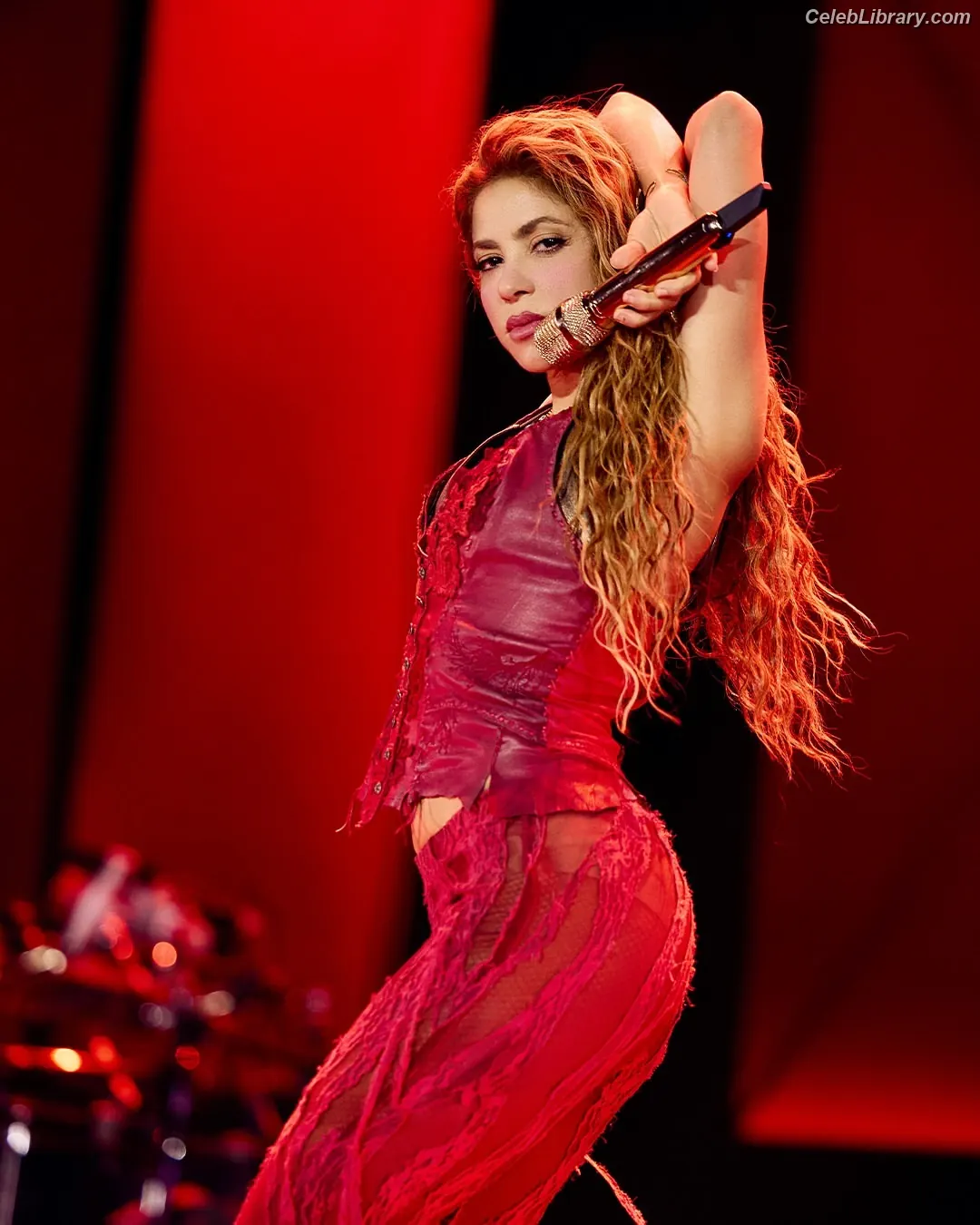 Shakira photo 14 of 1546