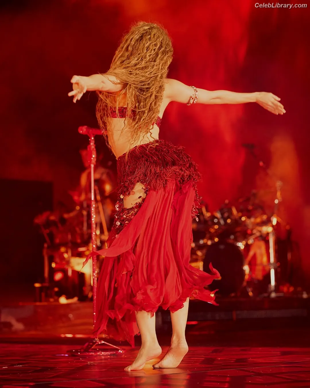 Shakira photo 17 of 1546