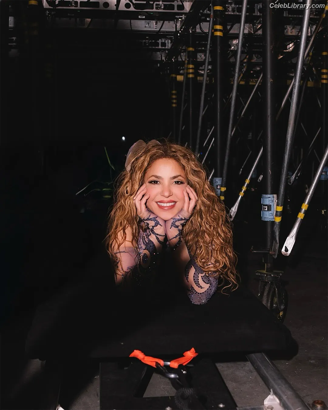 Shakira photo 11 of 1546