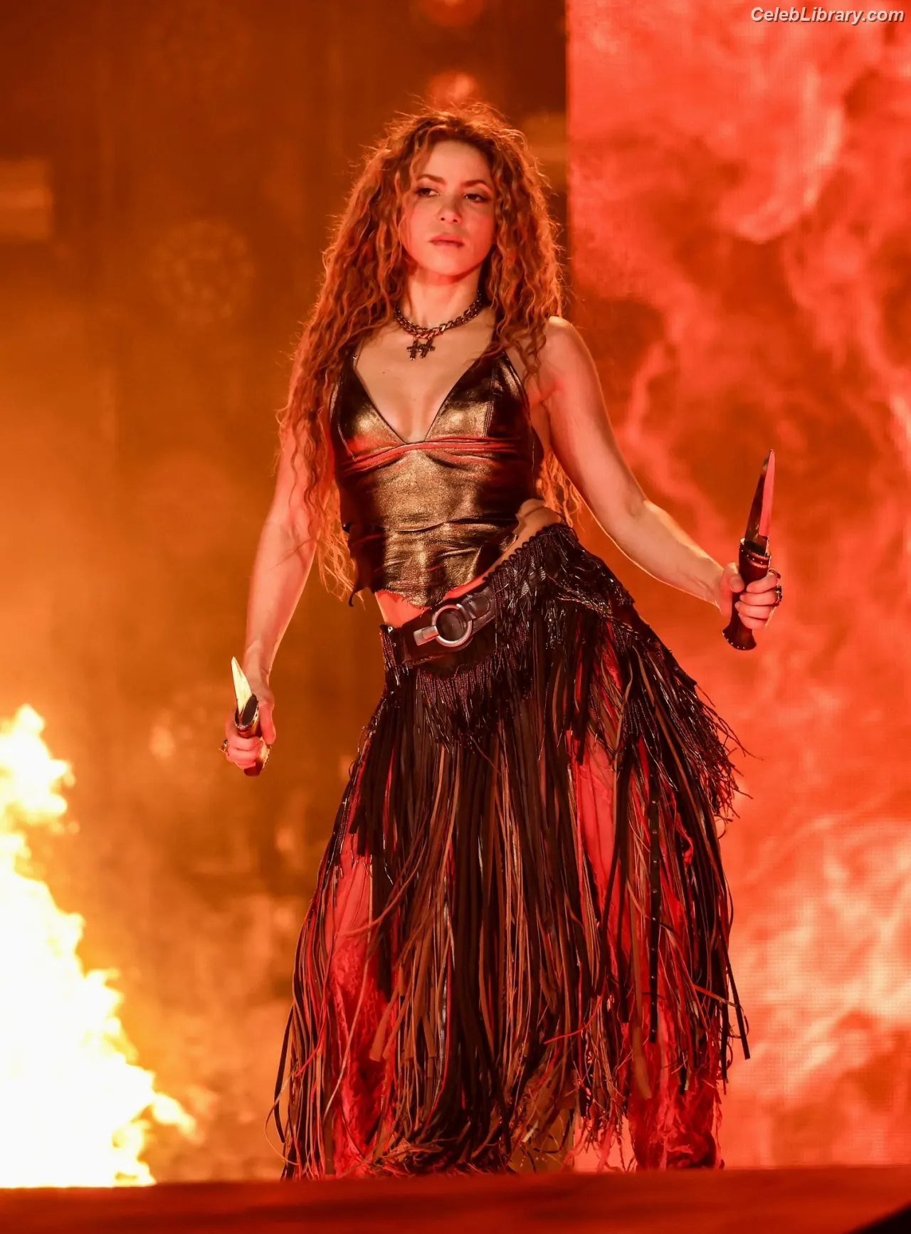 Shakira photo 24 of 1546
