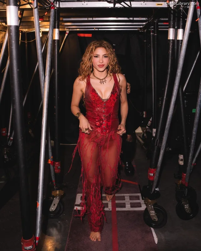 Shakira photo 11 of 1543