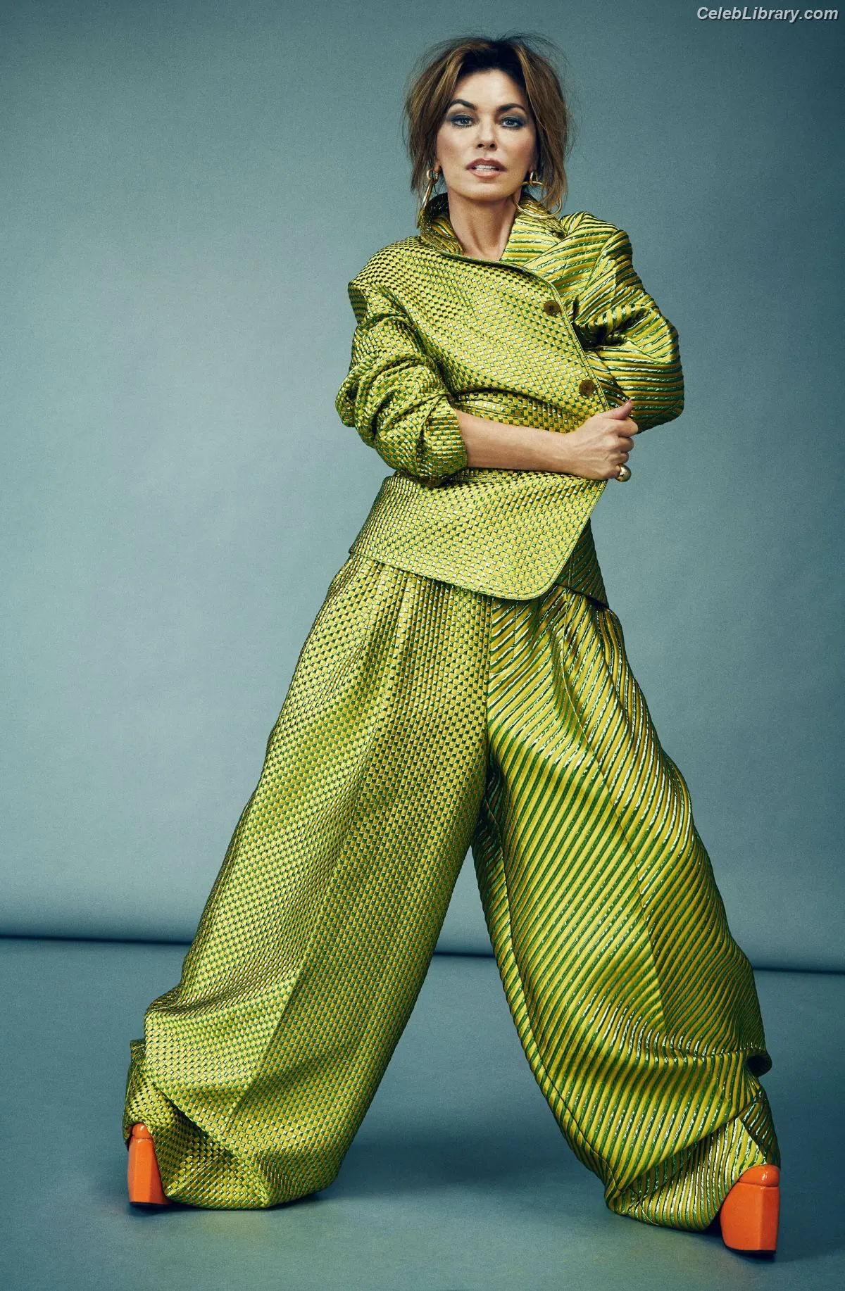 Shania Twain photo 8 of 135