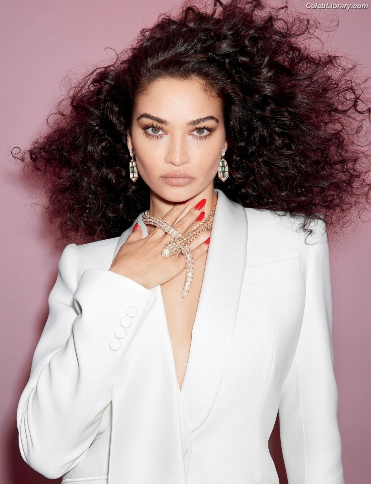 Shanina Shaik photo 2 of 220