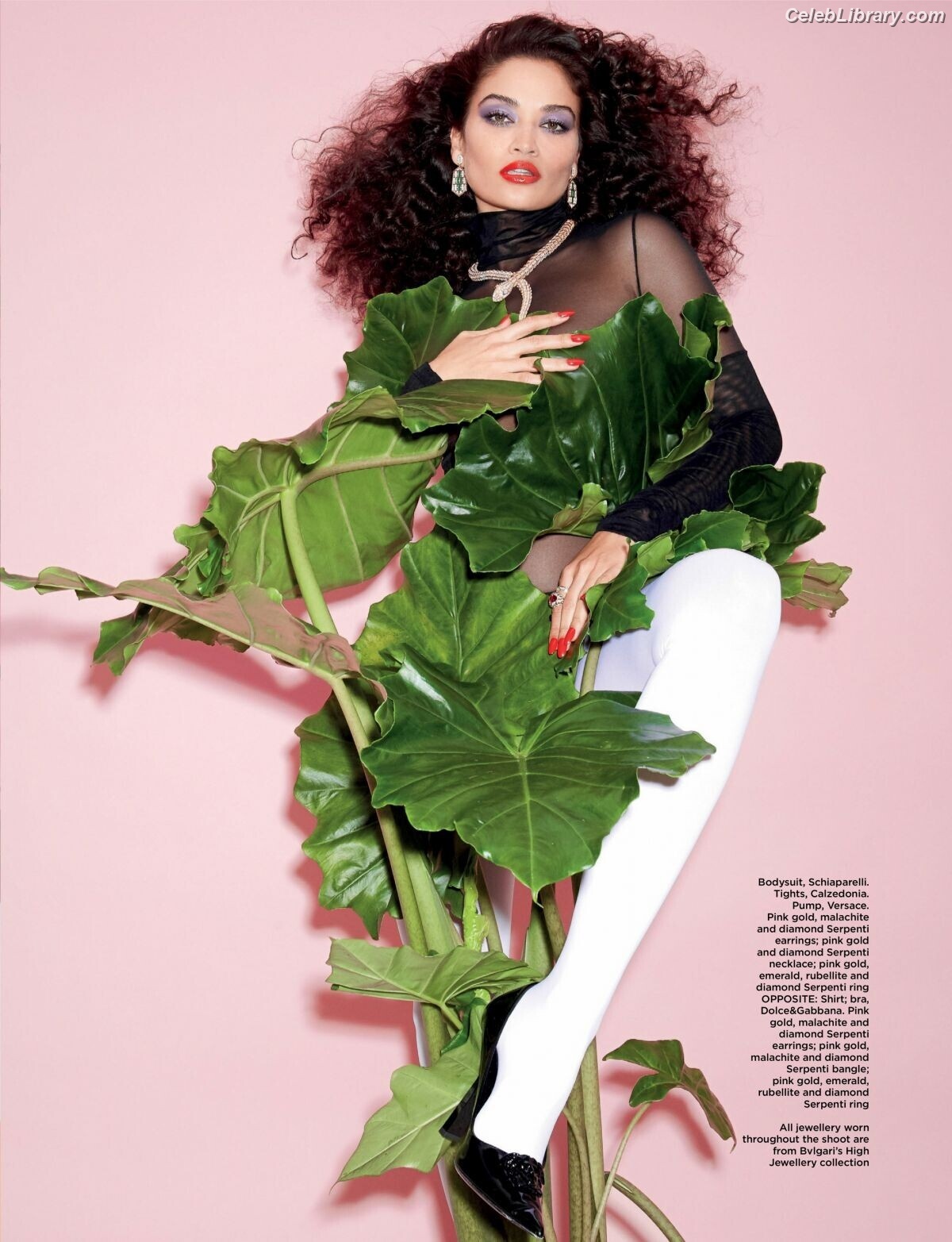 Shanina Shaik photo 6 of 220
