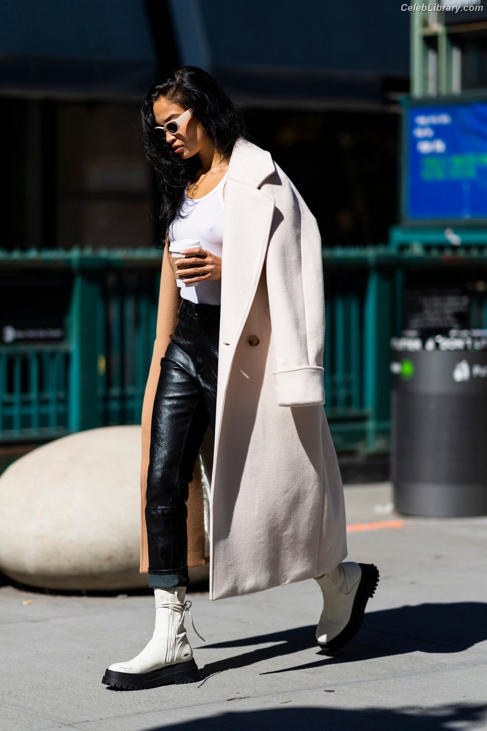 Shanina Shaik photo 8 of 220