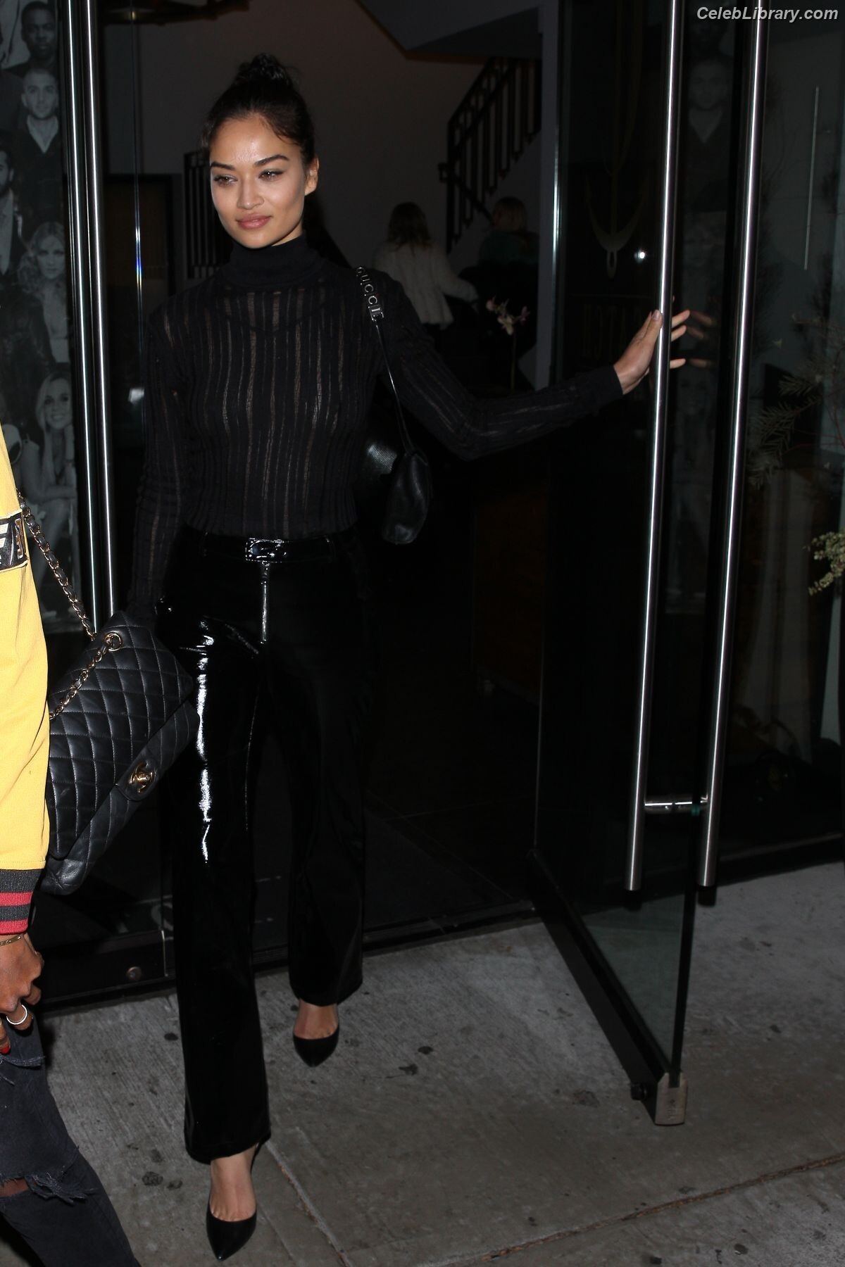 Shanina Shaik photo 20 of 220