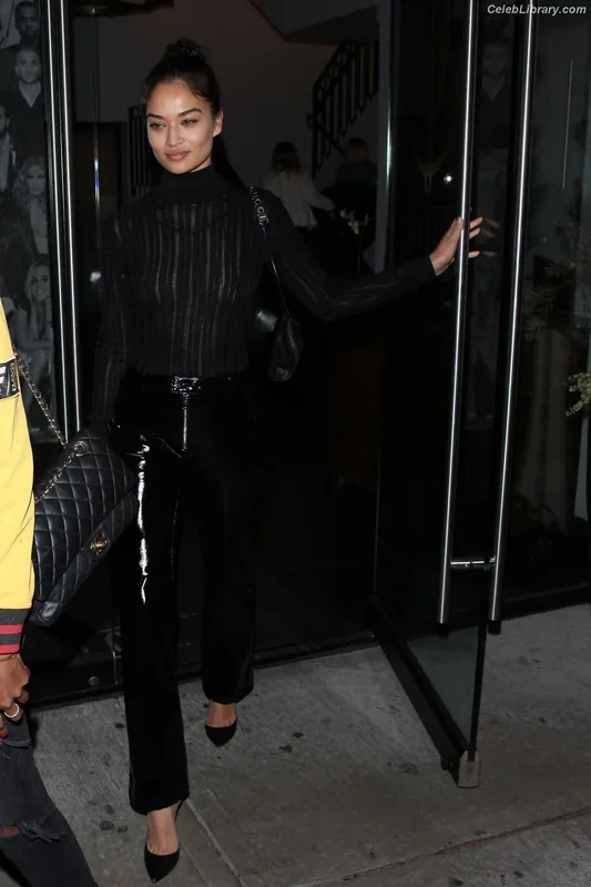Shanina Shaik photo 20 of 220