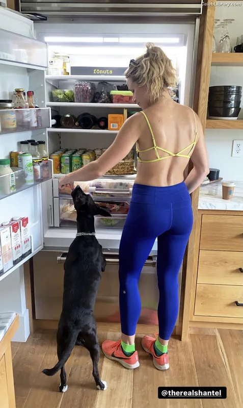 Shantel VanSanten photo 20 of 411