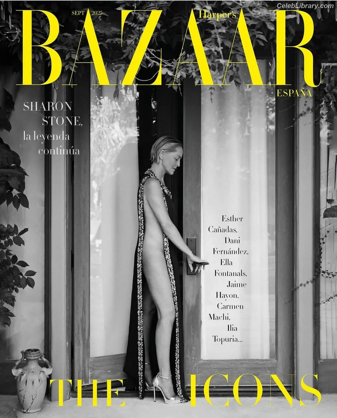 Sharon Stone photo 17 of 183