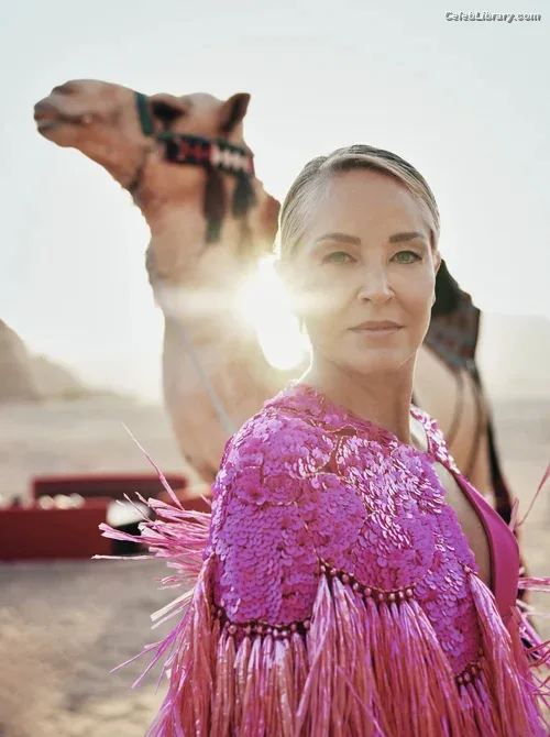 Sharon Stone photo 7 of 184