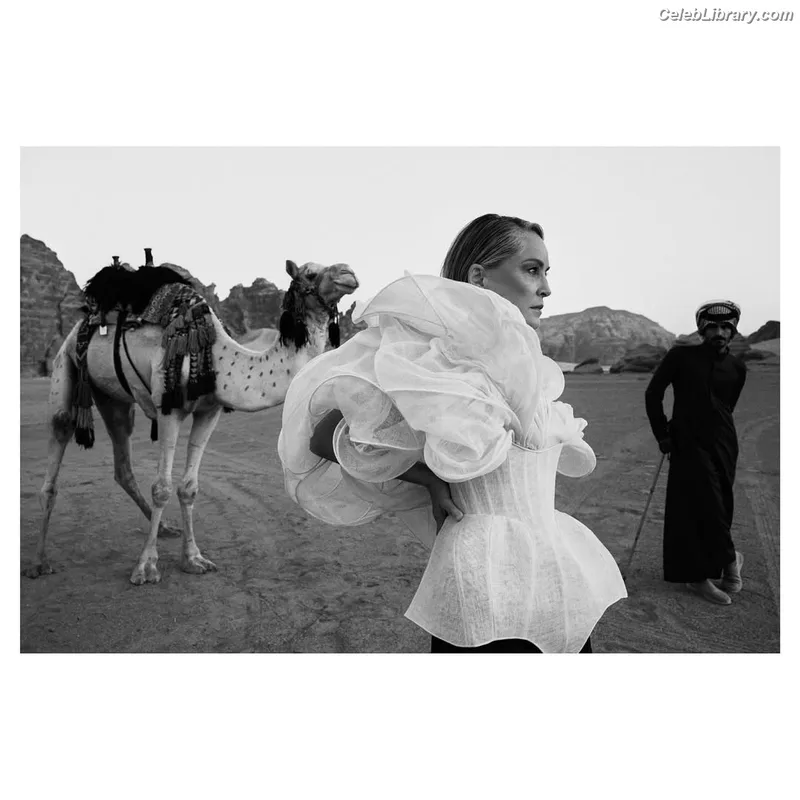 Sharon Stone photo 14 of 184