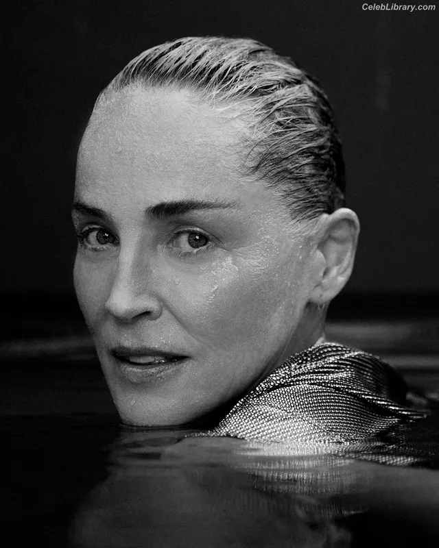 Sharon Stone photo 1 of 184
