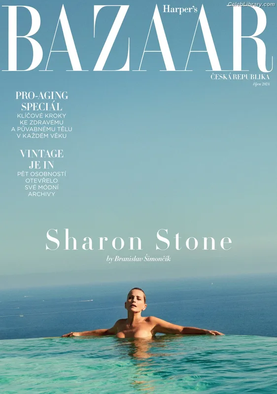 Sharon Stone photo 15 of 184