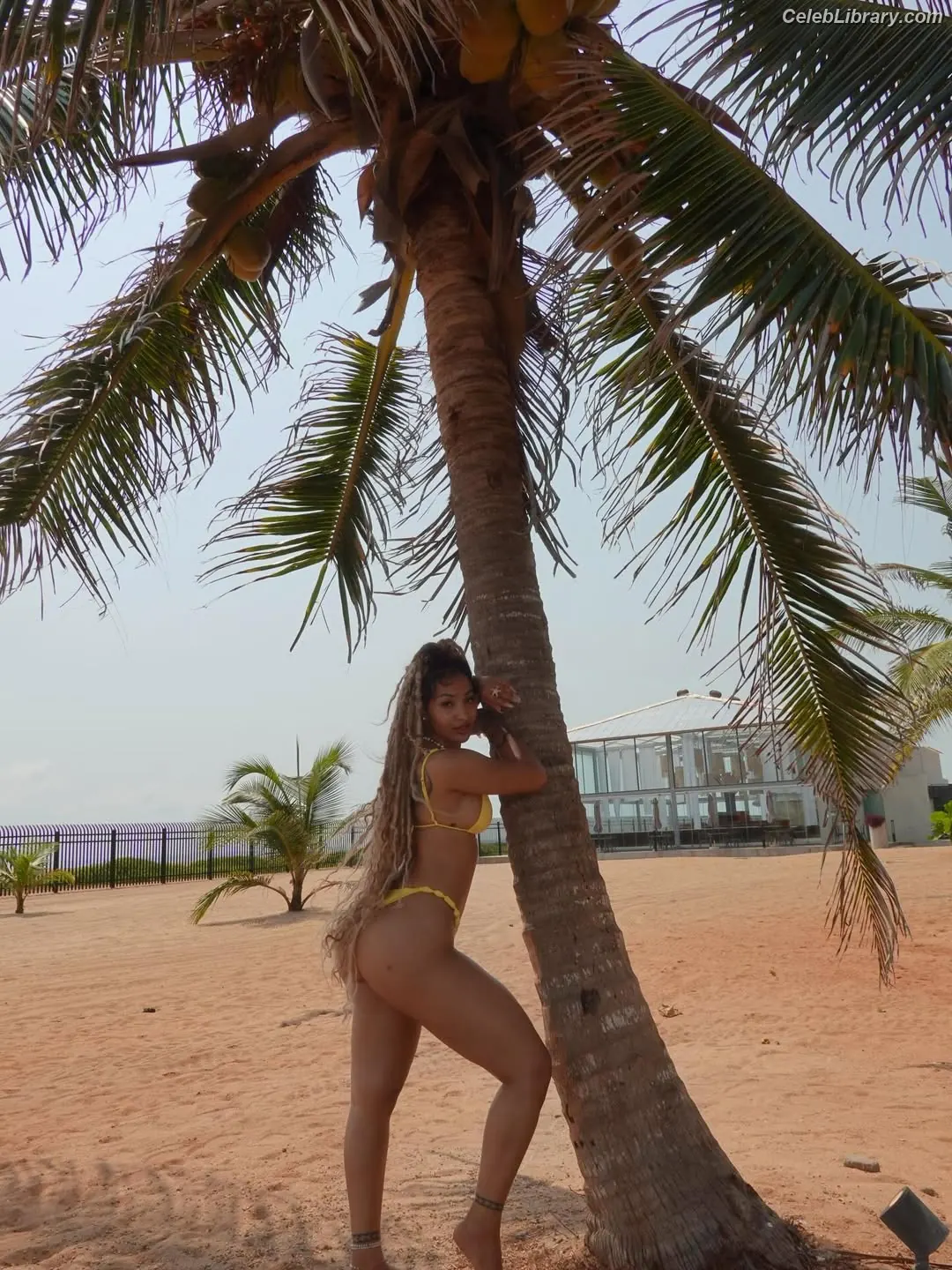 Shenseea photo 8 of 321