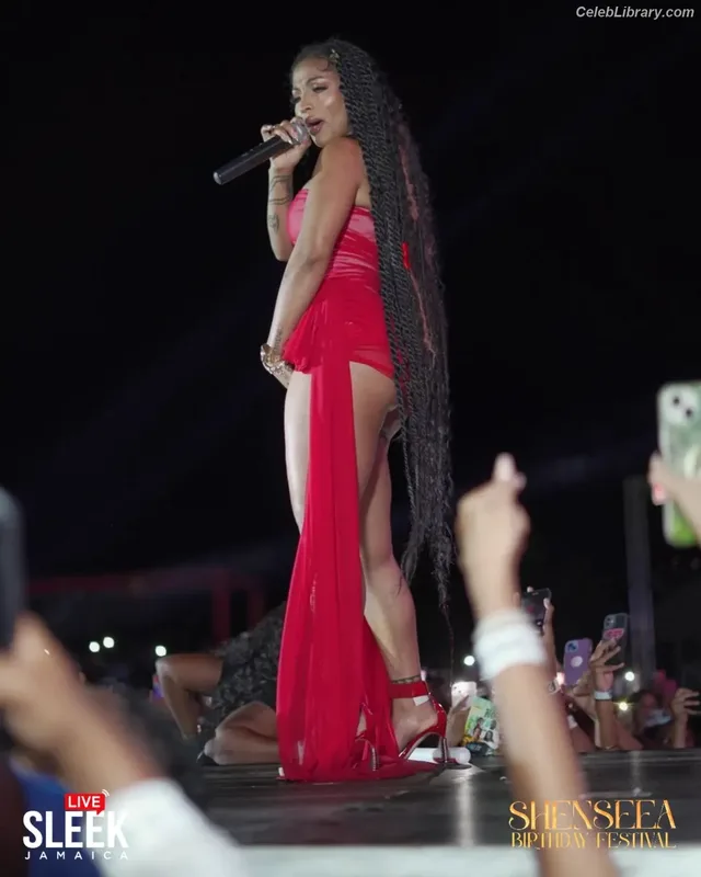 Shenseea photo 15 of 322