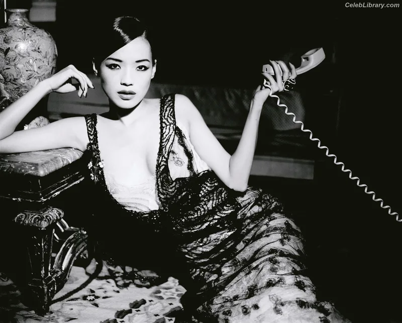 Shu Qi photo 6 of 27