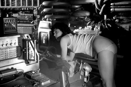 Sigourney Weaver photo 1 of 68