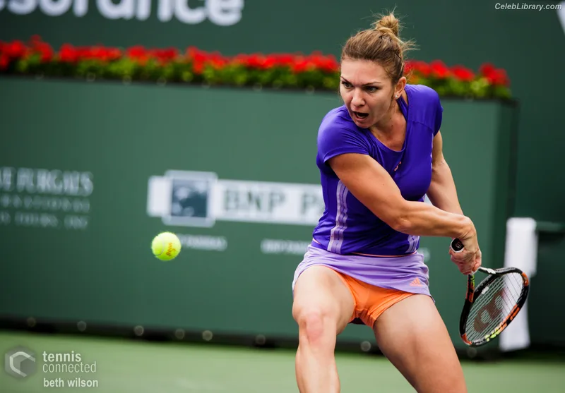Simona Halep photo 9 of 114