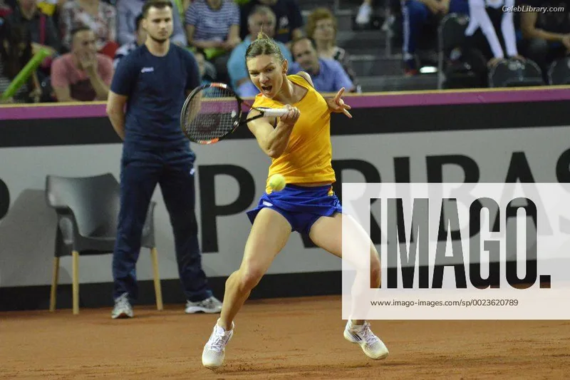 Simona Halep photo 19 of 114