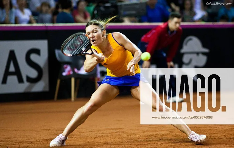 Simona Halep photo 20 of 114