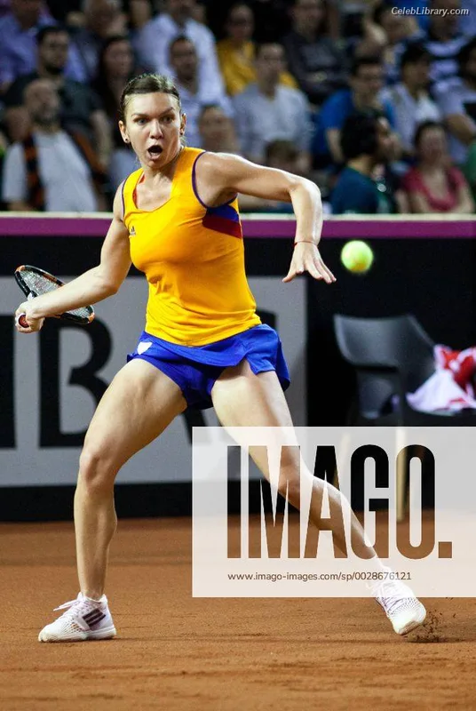 Simona Halep photo 21 of 114