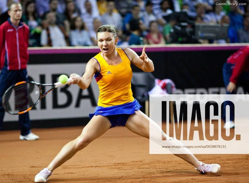 Simona Halep photo 22 of 114