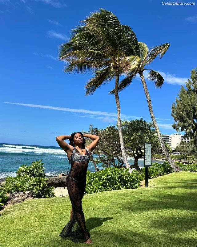 Simone Biles photo 17 of 260