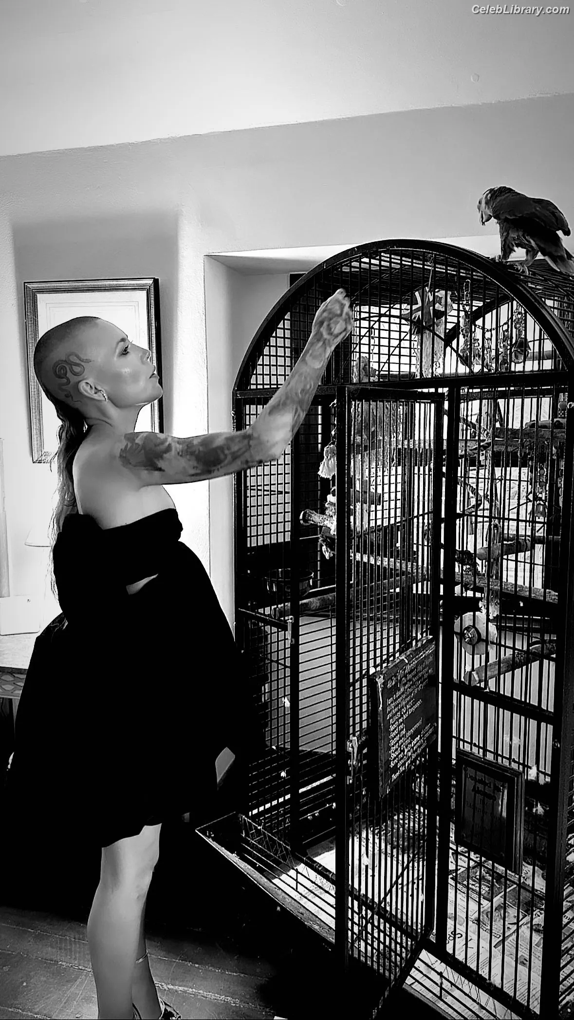 Skylar Grey photo 23 of 98