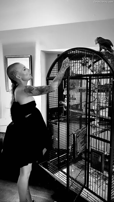 Skylar Grey photo 18 of 94