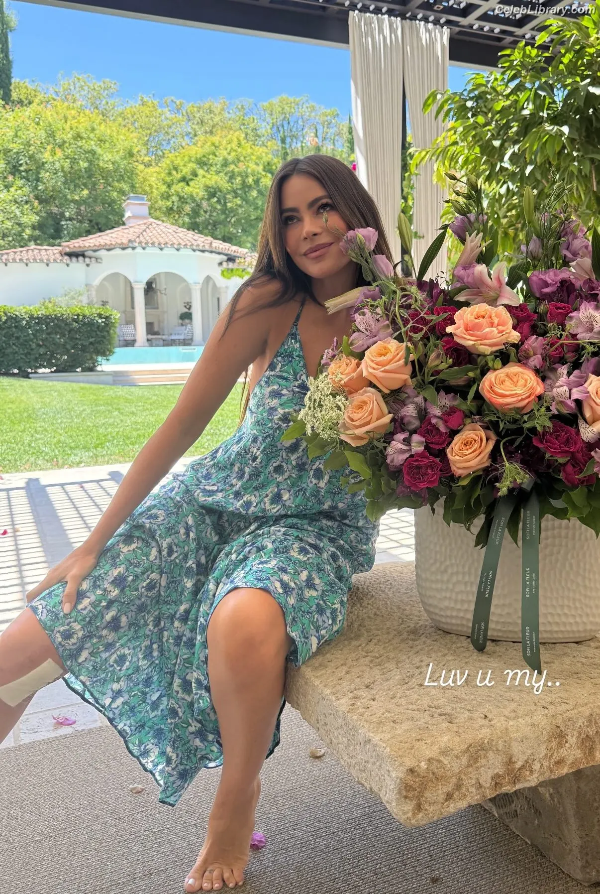 Sofia Vergara photo 2 of 1182