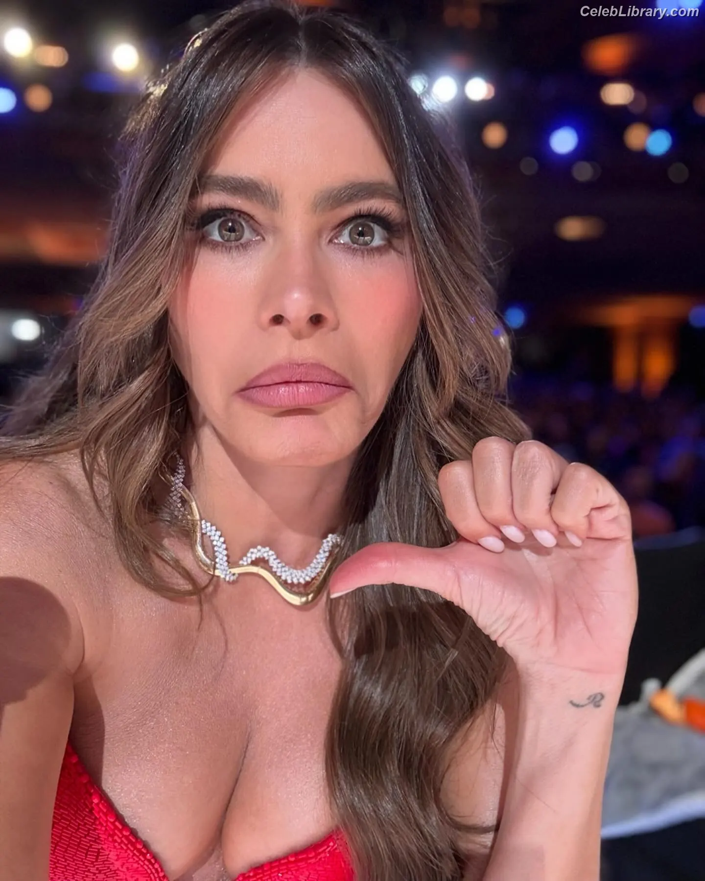 Sofia Vergara photo 9 of 1182