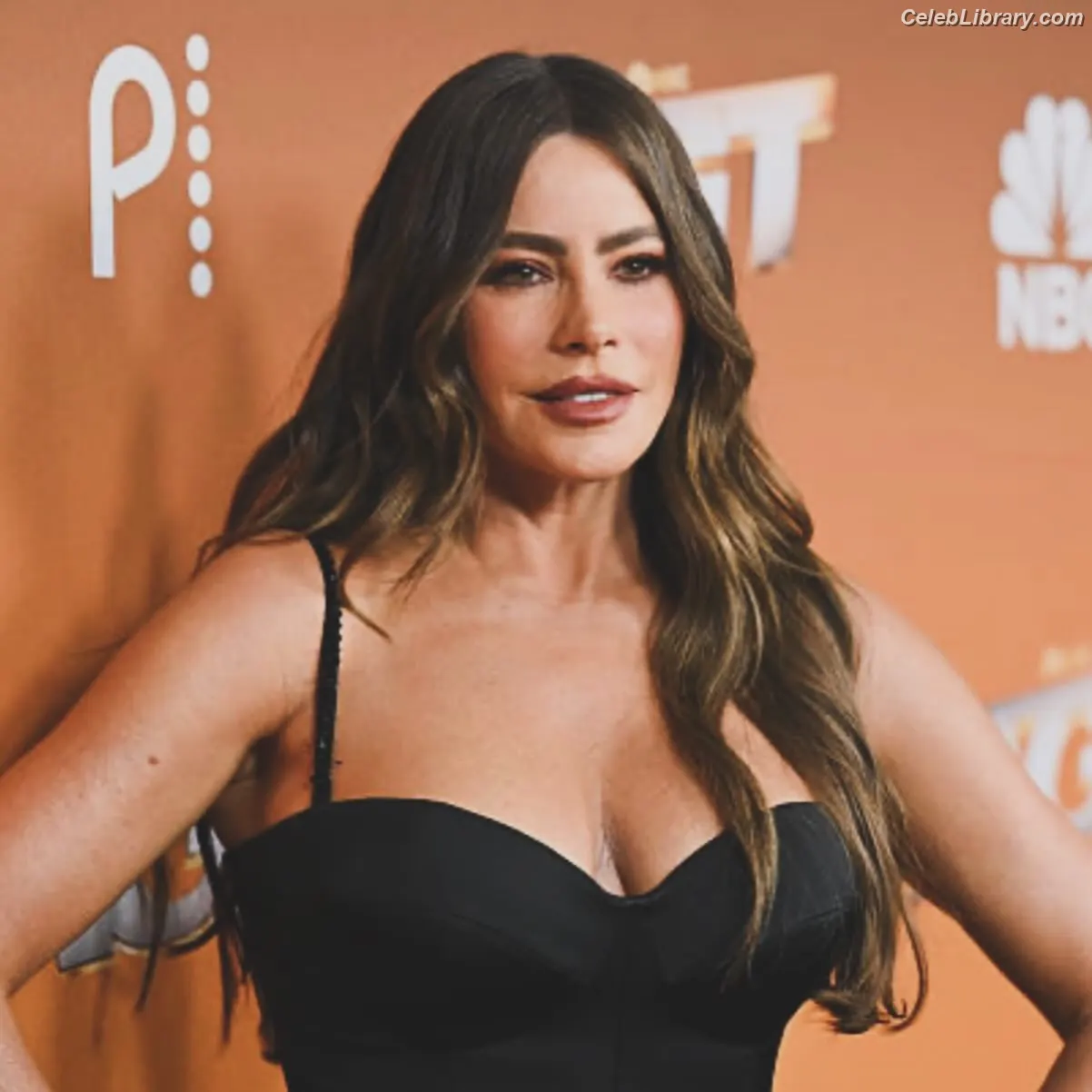 Sofia Vergara photo 3 of 1182