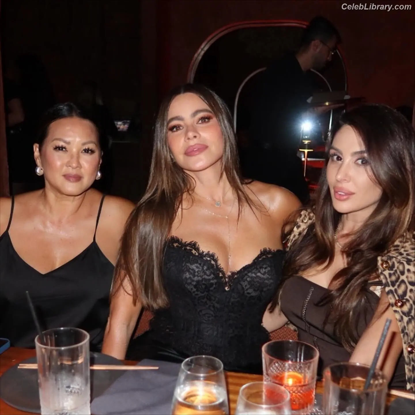Sofia Vergara photo 17 of 1182
