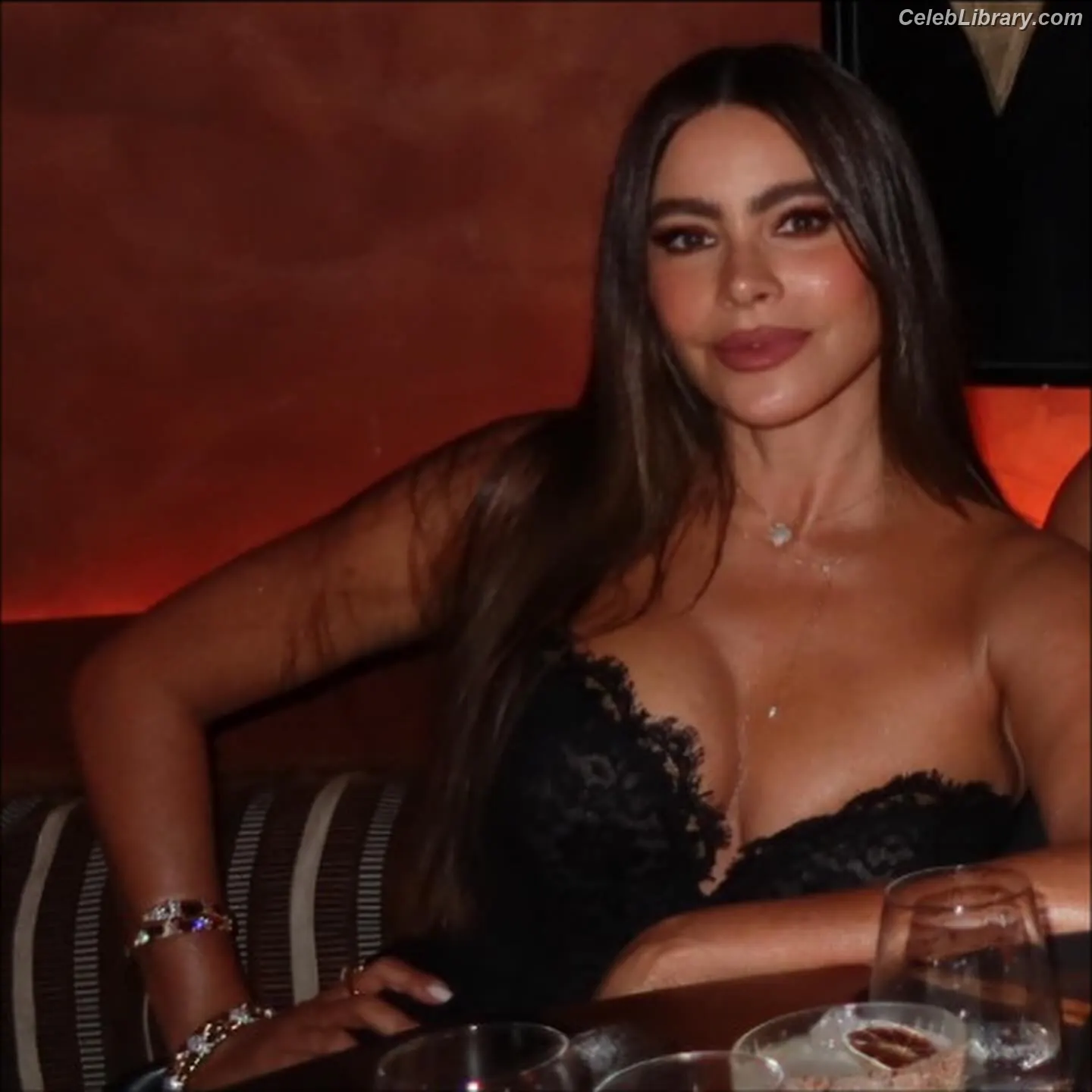 Sofia Vergara photo 20 of 1182
