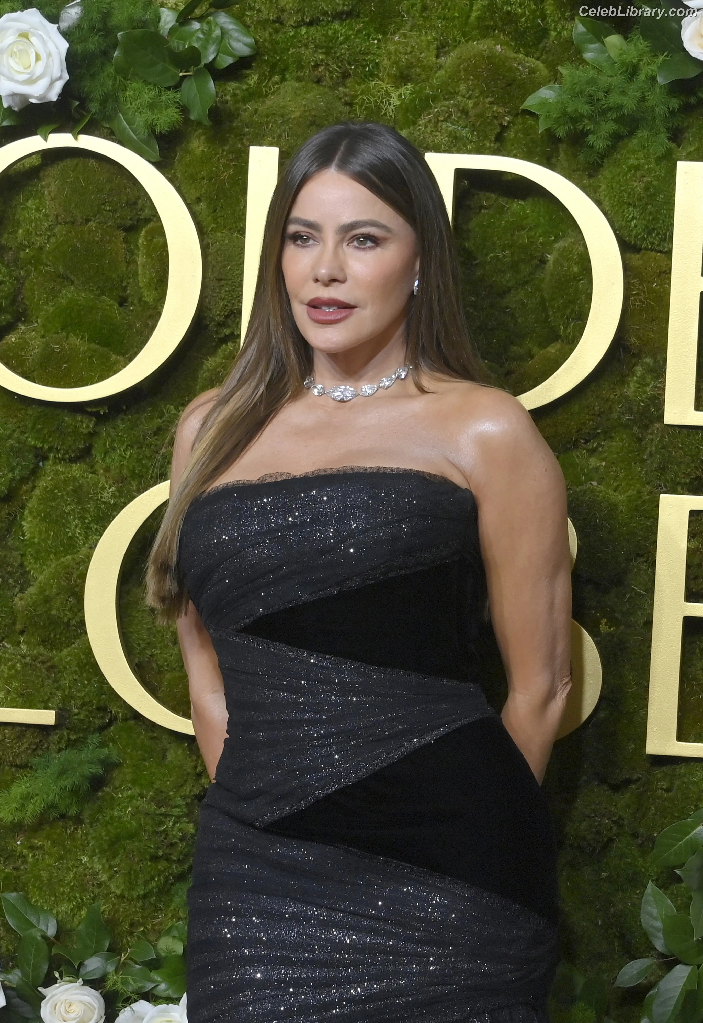 Sofia Vergara photo 11 of 1182