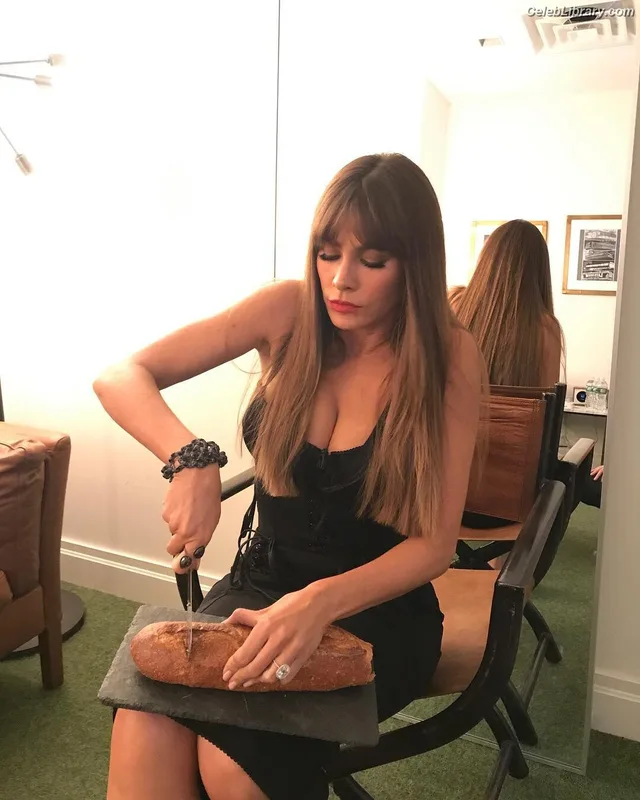 Sofia Vergara photo 23 of 1176