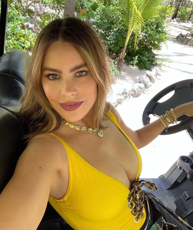 Sofia Vergara photo 12 of 1176