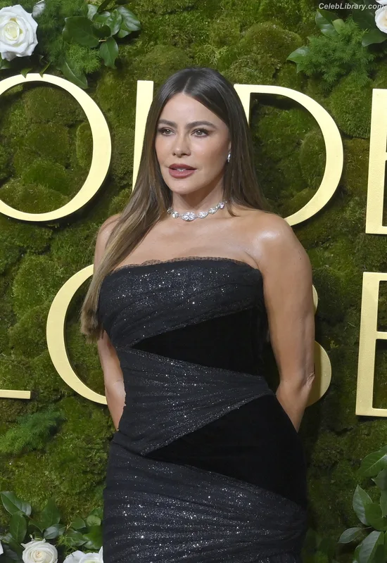 Sofia Vergara photo 4 of 1176