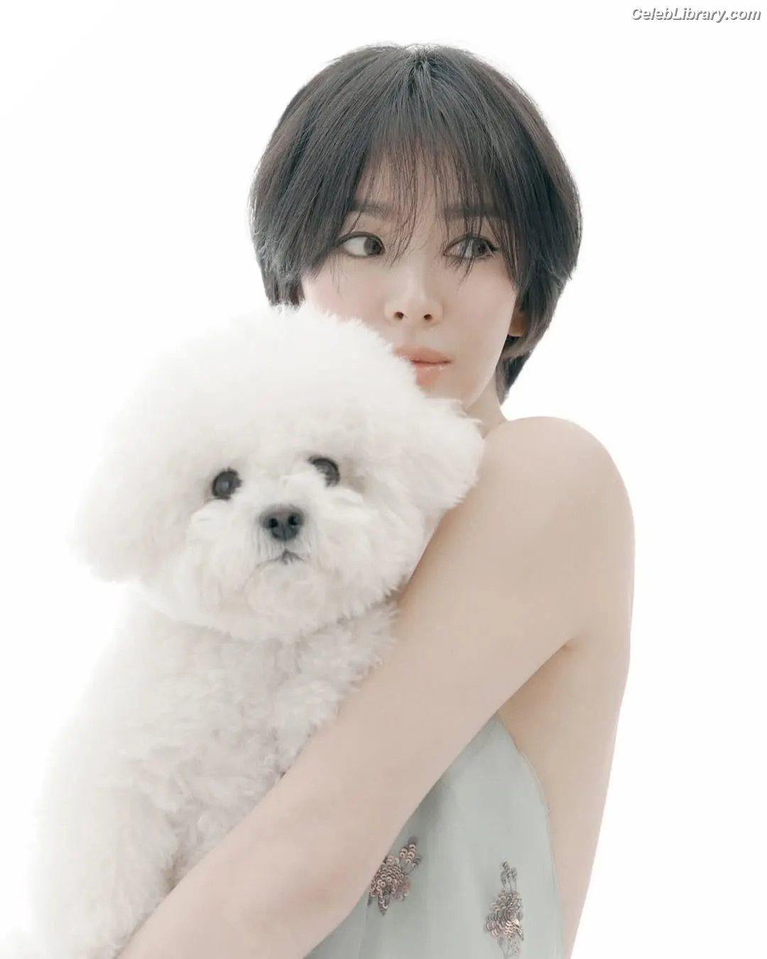 Song Hye-kyo photo 19 of 245