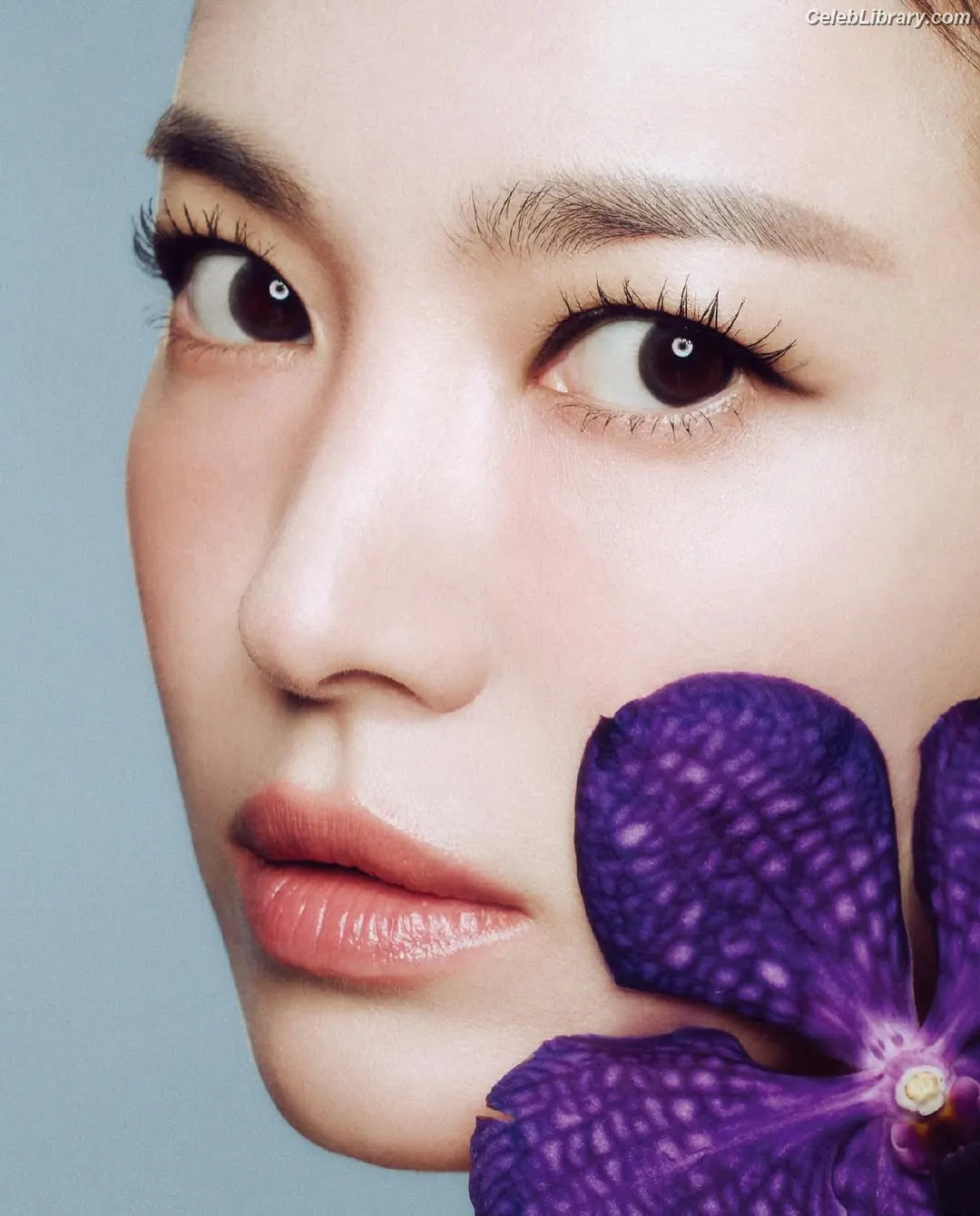 Song Hye-kyo photo 5 of 245