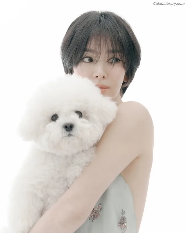 Song Hye-kyo photo 19 of 246