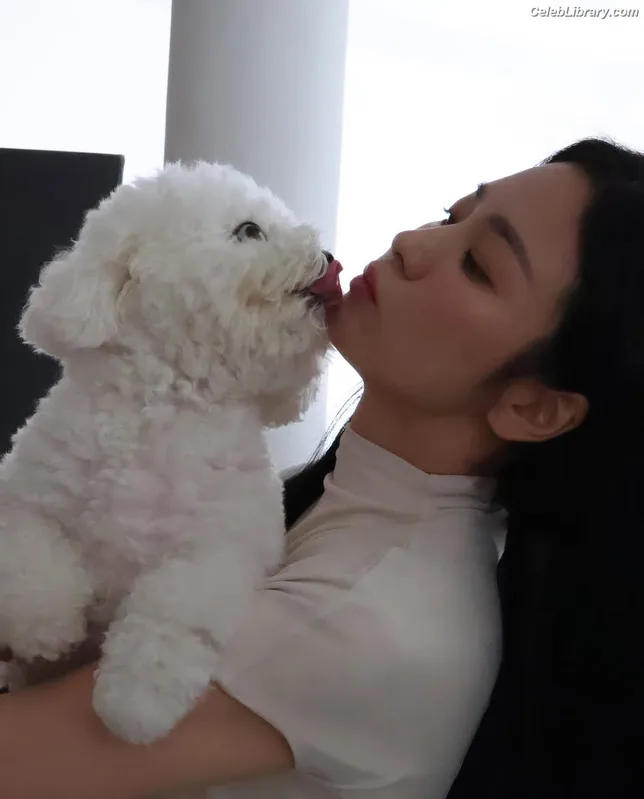 Song Hye-kyo photo 20 of 246