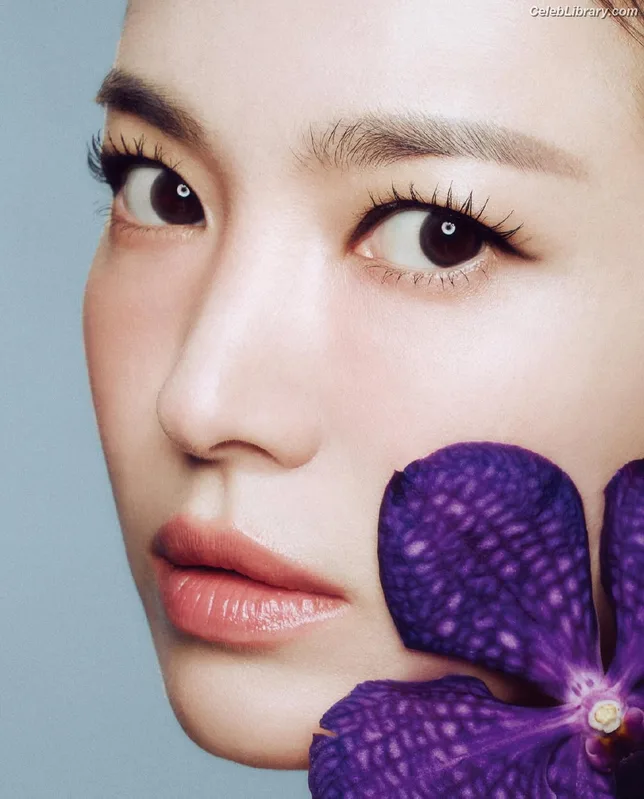 Song Hye-kyo photo 5 of 246