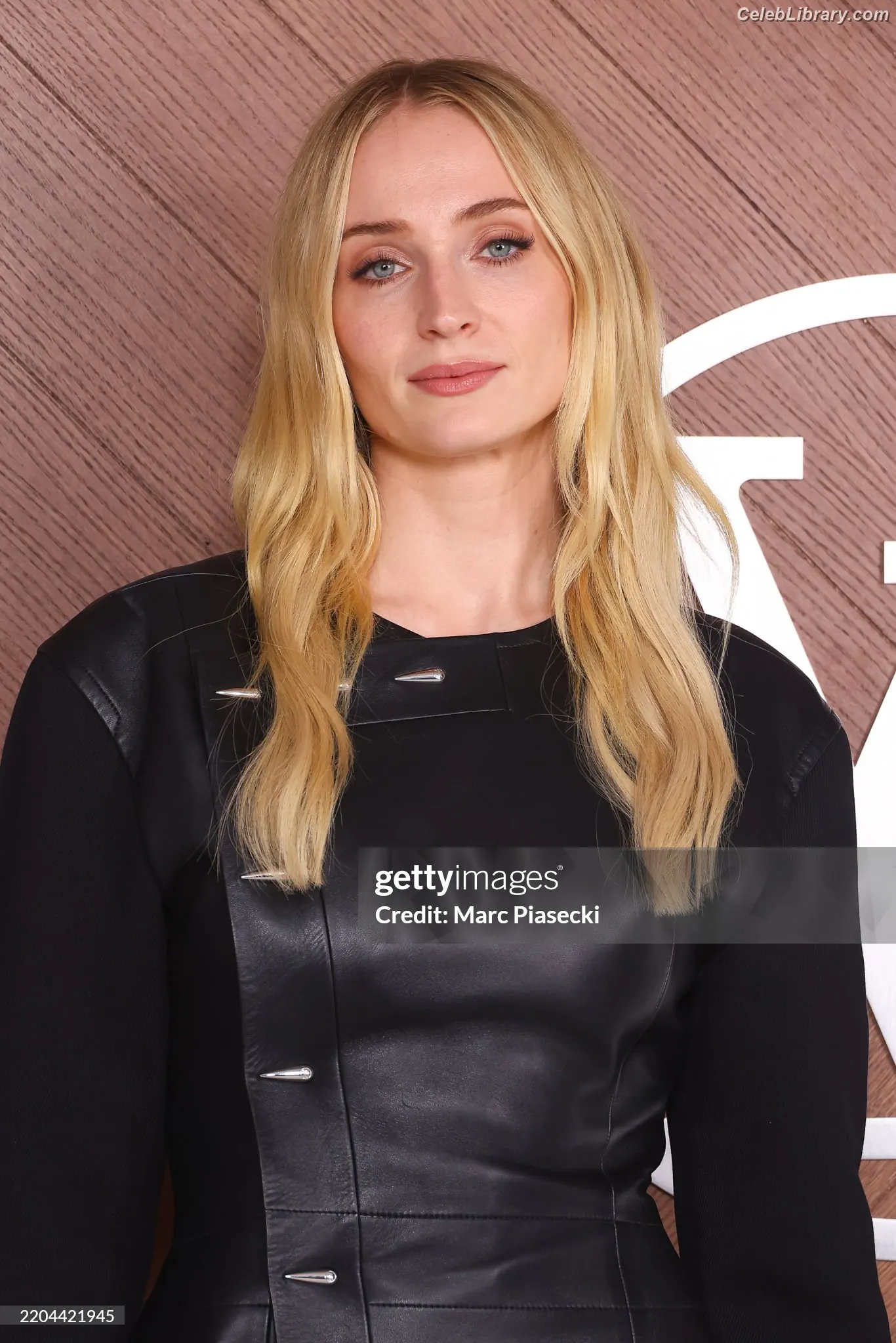 Sophie Turner photo 2 of 478