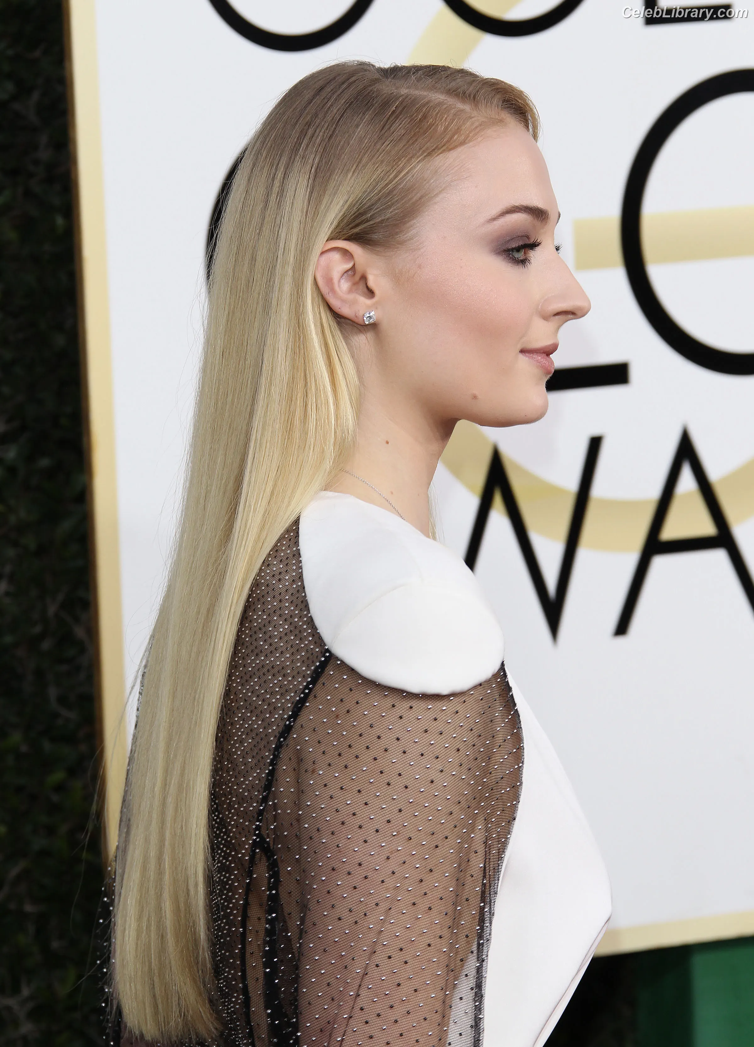 Sophie Turner photo 4 of 478